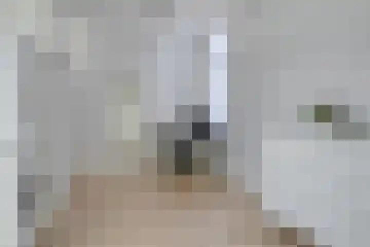Grasvogel 33 Eindhoven thumbnail 34