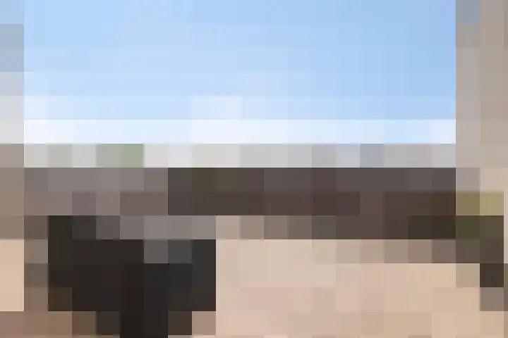 Grasvogel 33 Eindhoven thumbnail 35