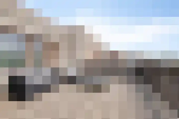 Grasvogel 33 Eindhoven thumbnail 36