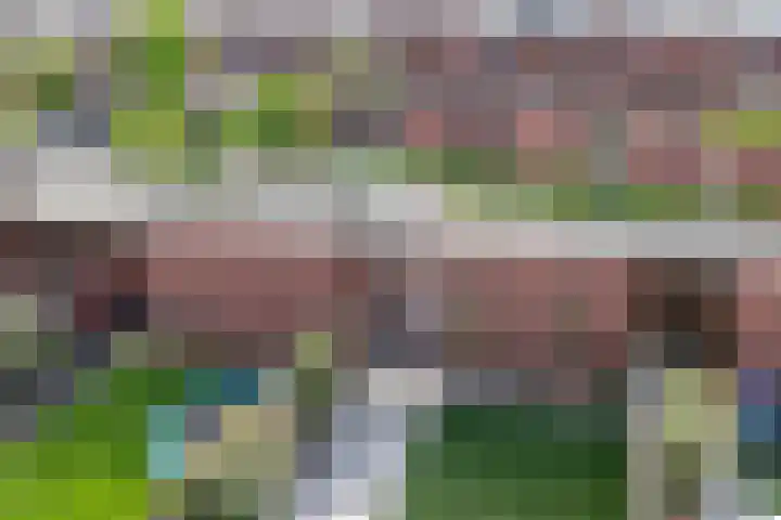 Grasvogel 33 Eindhoven thumbnail 39
