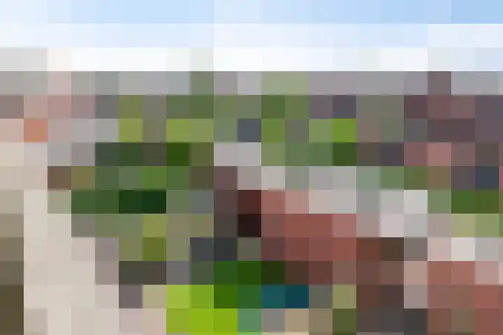 Grasvogel 33 Eindhoven thumbnail 40