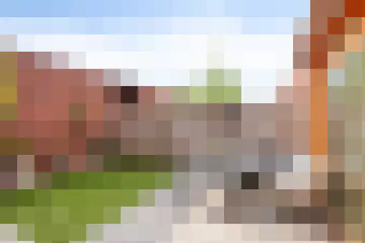 Grasvogel 33 Eindhoven thumbnail 42