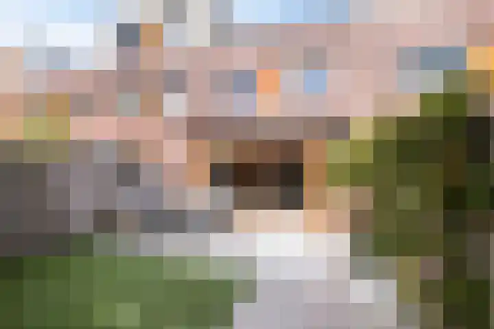 Grasvogel 33 Eindhoven thumbnail 44