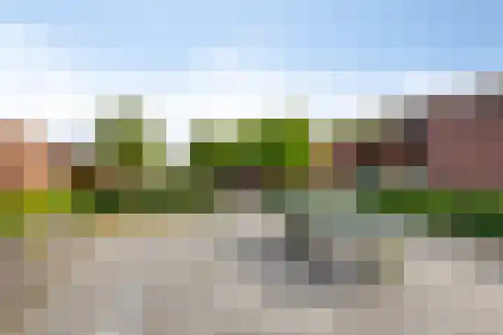 Grasvogel 33 Eindhoven thumbnail 45