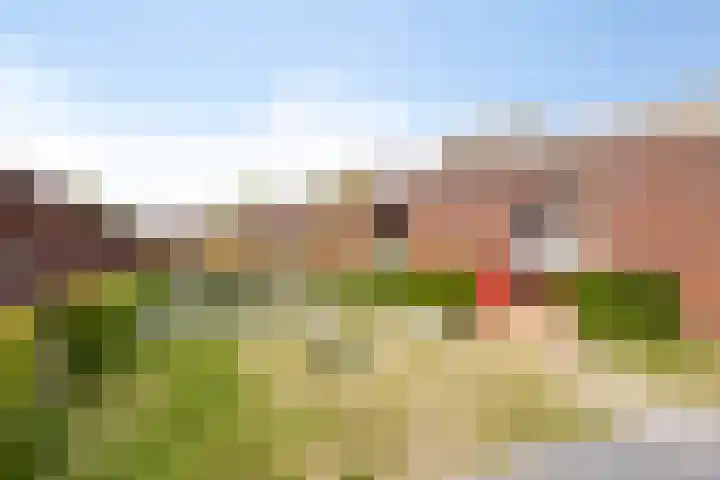 Grasvogel 33 Eindhoven thumbnail 46