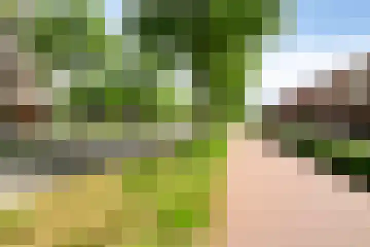 Grasvogel 33 Eindhoven thumbnail 47