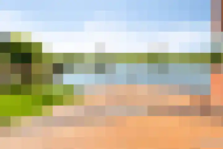 Grasvogel 33 Eindhoven thumbnail 48