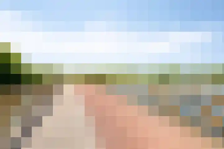 Grasvogel 33 Eindhoven thumbnail 49