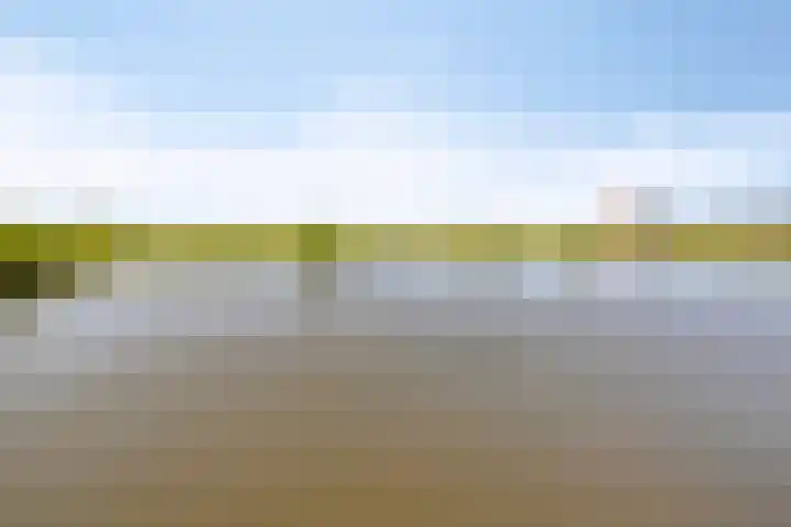 Grasvogel 33 Eindhoven thumbnail 50