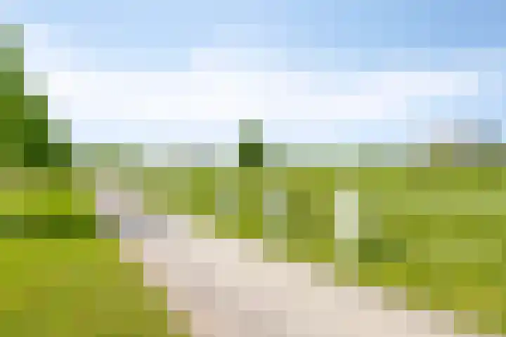 Grasvogel 33 Eindhoven thumbnail 52