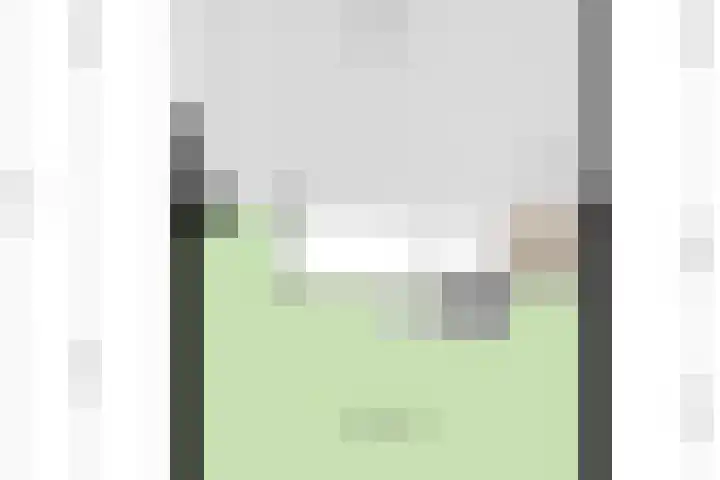 Grasvogel 33 Eindhoven thumbnail 55
