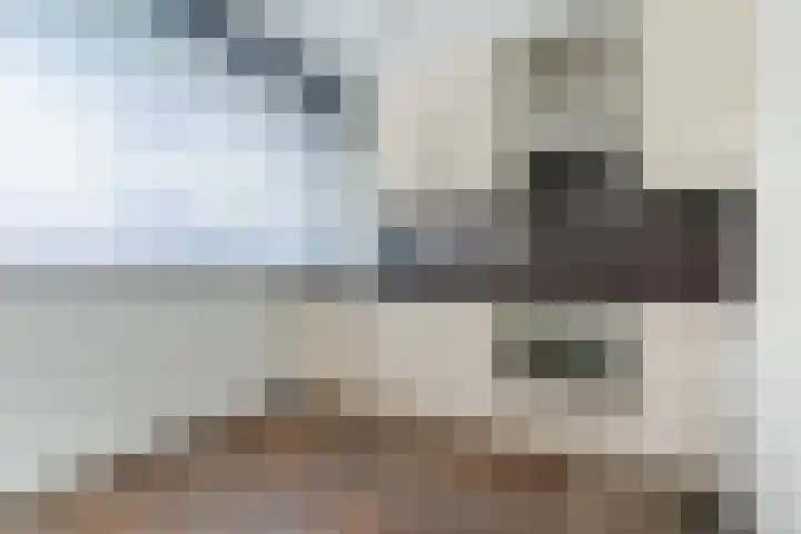 Grasvogel 37 Eindhoven thumbnail 10