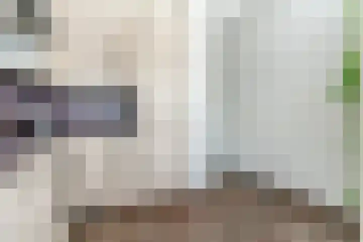 Grasvogel 37 Eindhoven thumbnail 11
