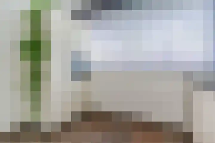 Grasvogel 37 Eindhoven thumbnail 12