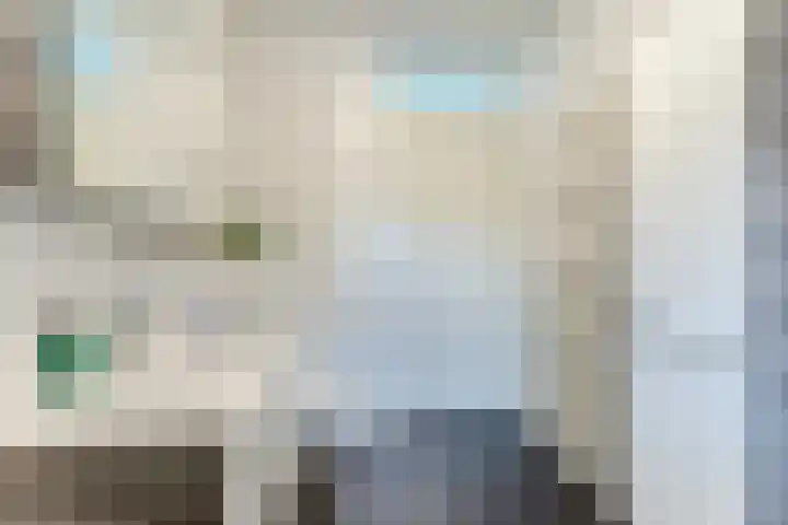 Grasvogel 37 Eindhoven thumbnail 17