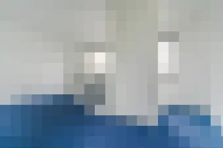 Grasvogel 37 Eindhoven thumbnail 19