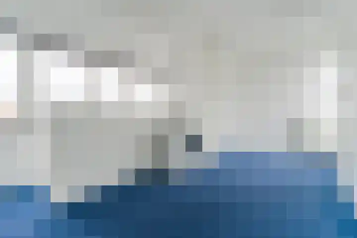 Grasvogel 37 Eindhoven thumbnail 20