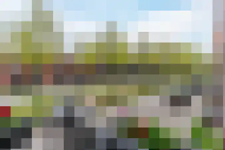 Grasvogel 37 Eindhoven thumbnail 21