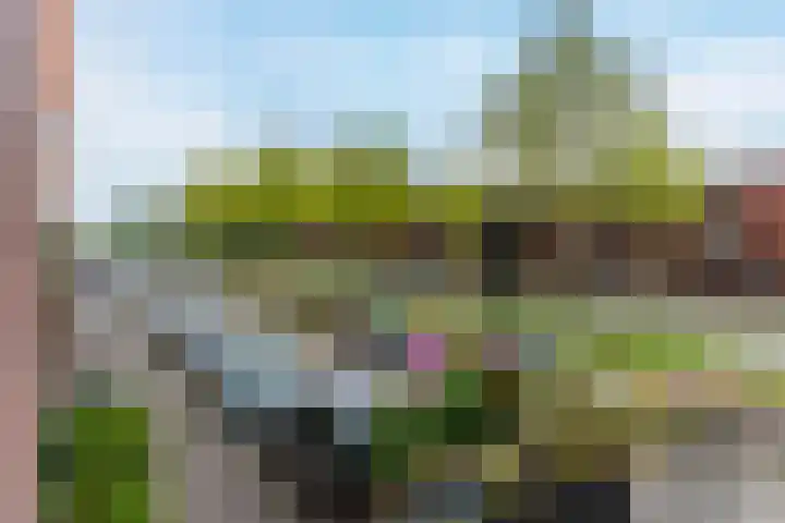 Grasvogel 37 Eindhoven thumbnail 22