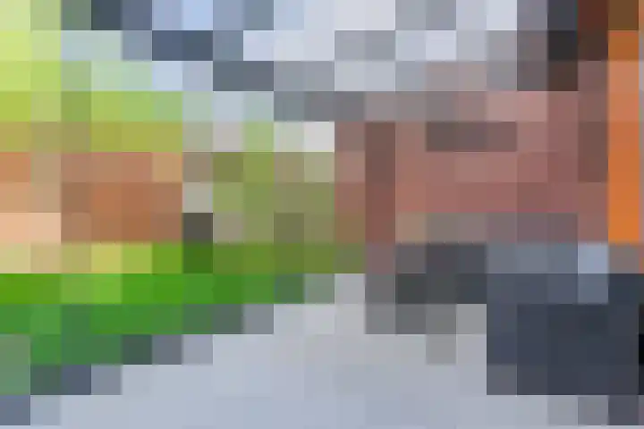 Grasvogel 37 Eindhoven thumbnail 23