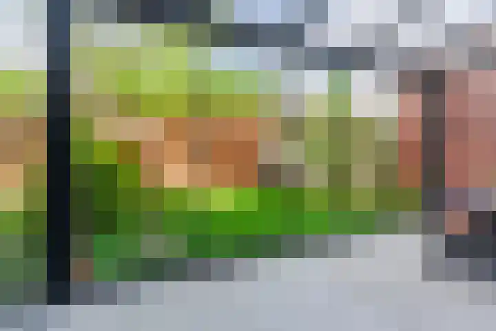 Grasvogel 37 Eindhoven thumbnail 24