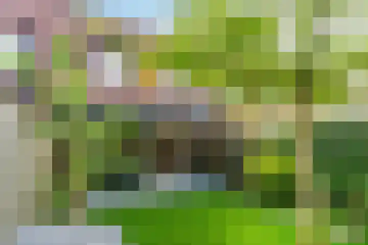 Grasvogel 37 Eindhoven thumbnail 27