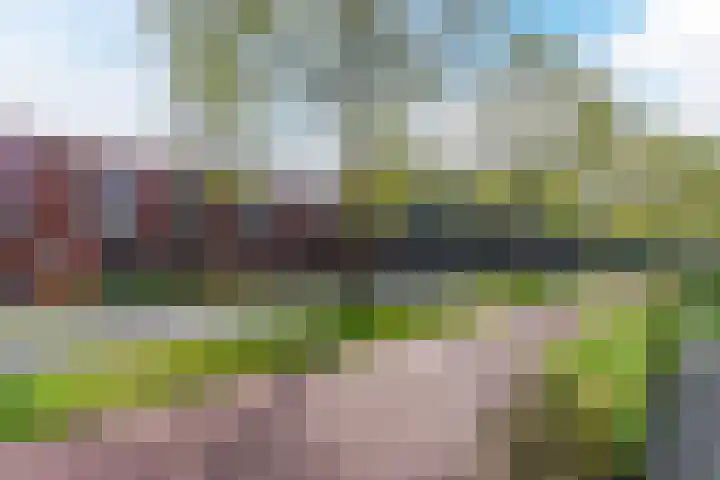 Grasvogel 37 Eindhoven thumbnail 28