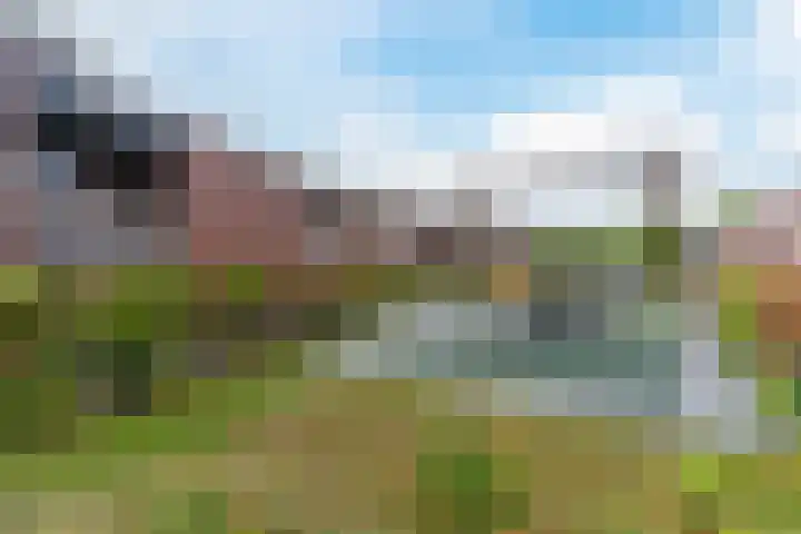 Grasvogel 37 Eindhoven thumbnail 30