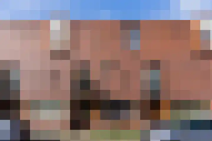Grasvogel 37 Eindhoven thumbnail 4