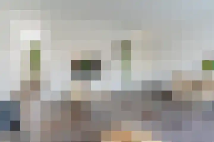 Grasvogel 37 Eindhoven thumbnail 9