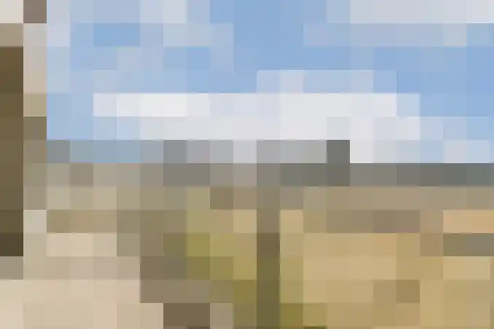 Grasweg 137 Amsterdam thumbnail 25
