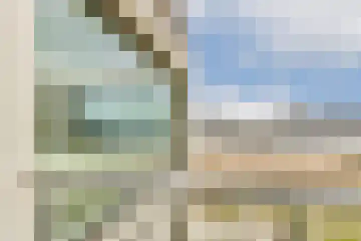 Grasweg 137 Amsterdam thumbnail 27