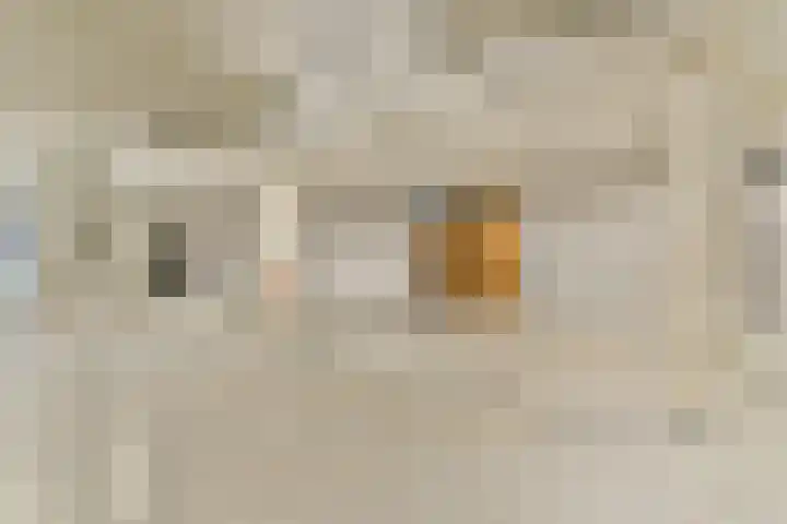 Grasweg 137 Amsterdam thumbnail 42