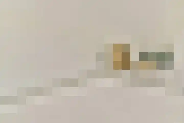 Grasweg 137 Amsterdam thumbnail 7