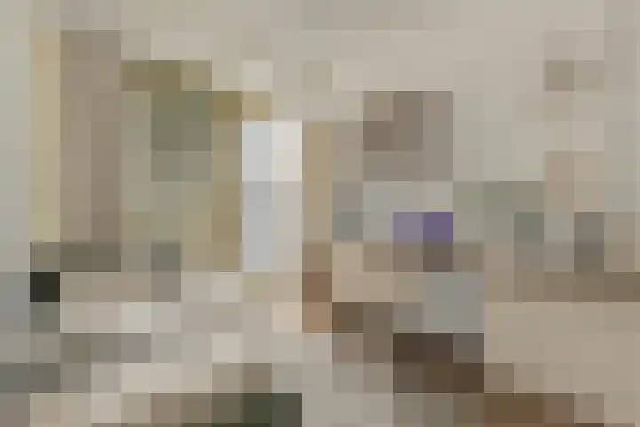 Grasweg 163 Amsterdam thumbnail 22