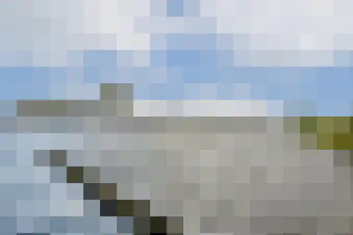 Grasweg 163 Amsterdam thumbnail 35