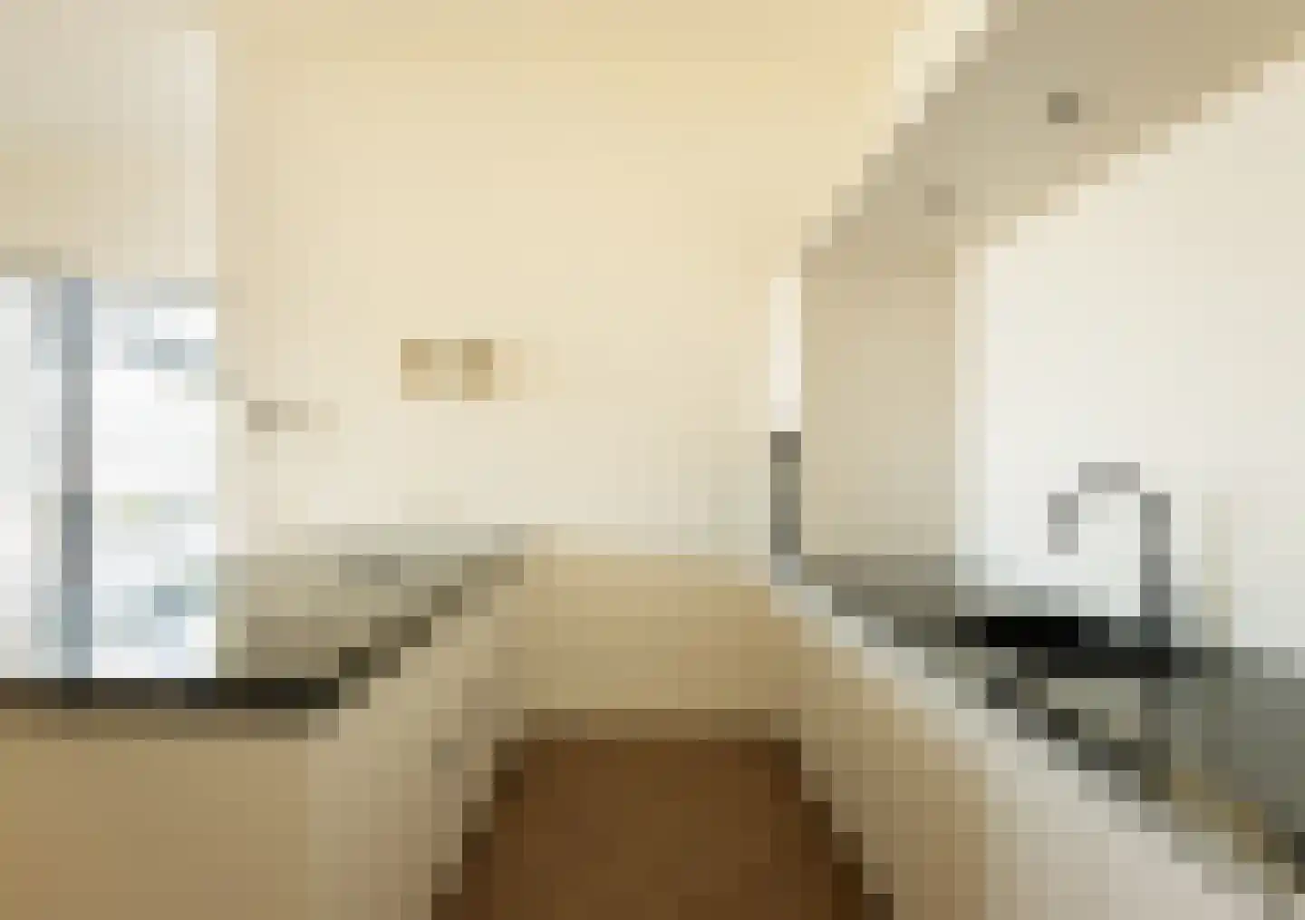 Grasweg 215 Amsterdam thumbnail 12
