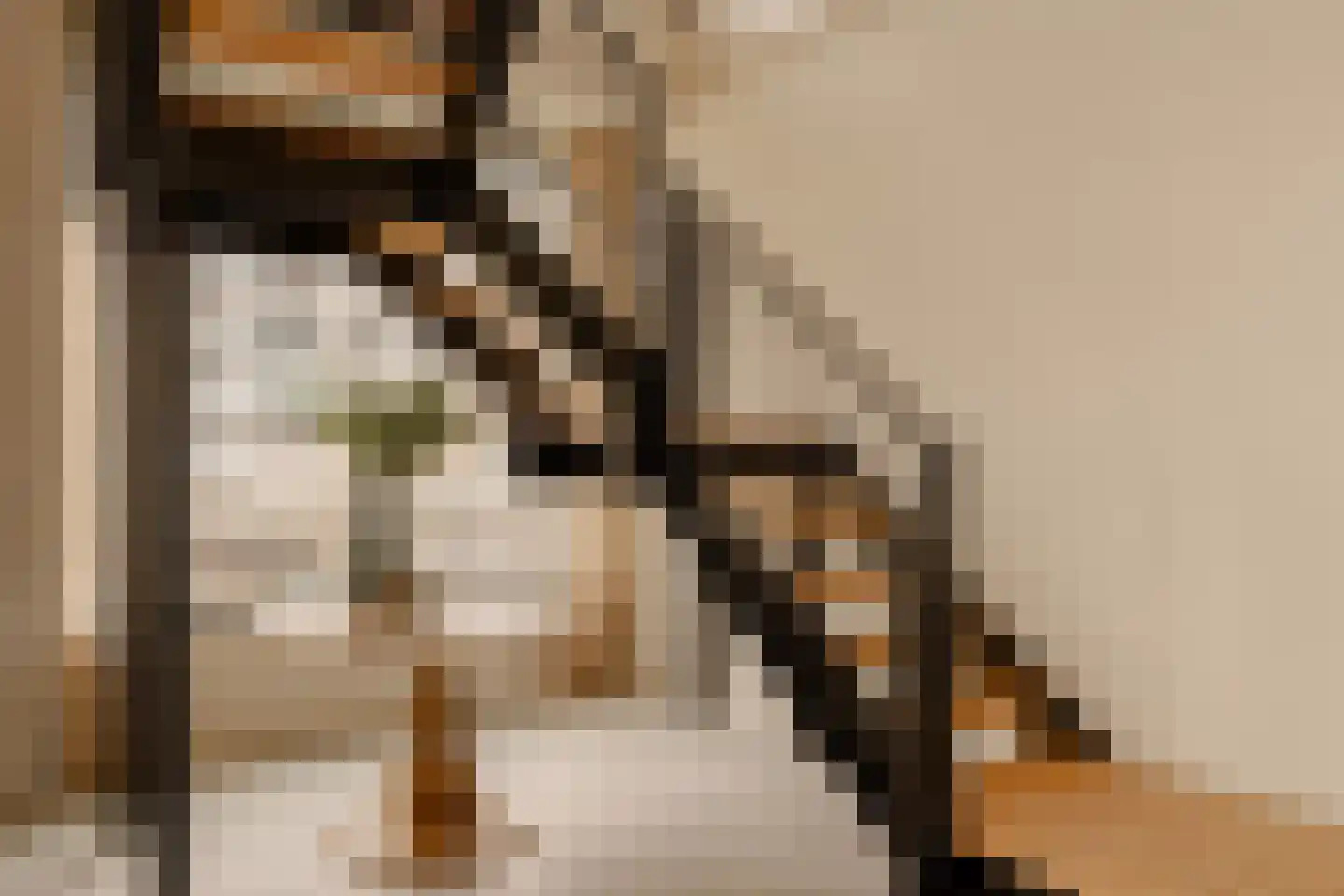 Grasweg 221 Amsterdam thumbnail 10