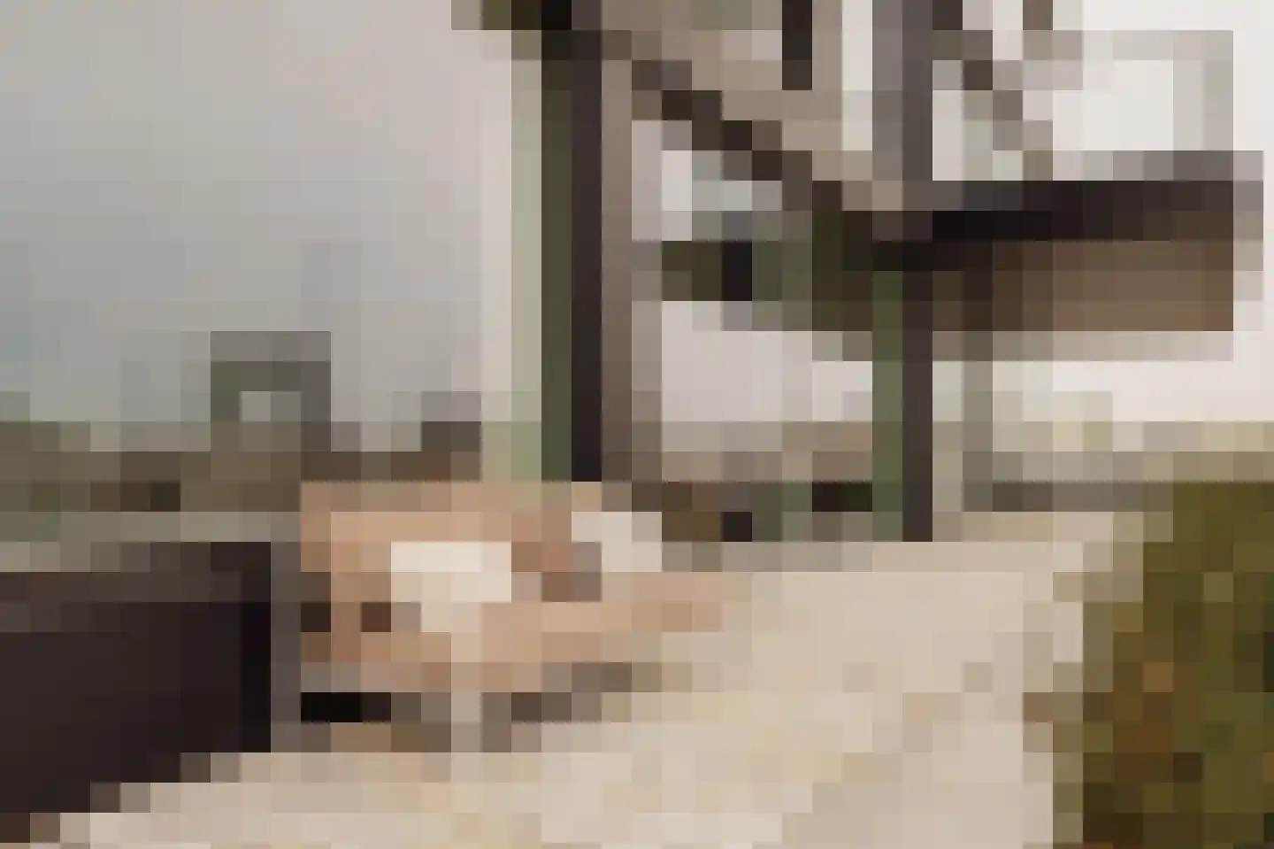 Grasweg 221 Amsterdam thumbnail 17