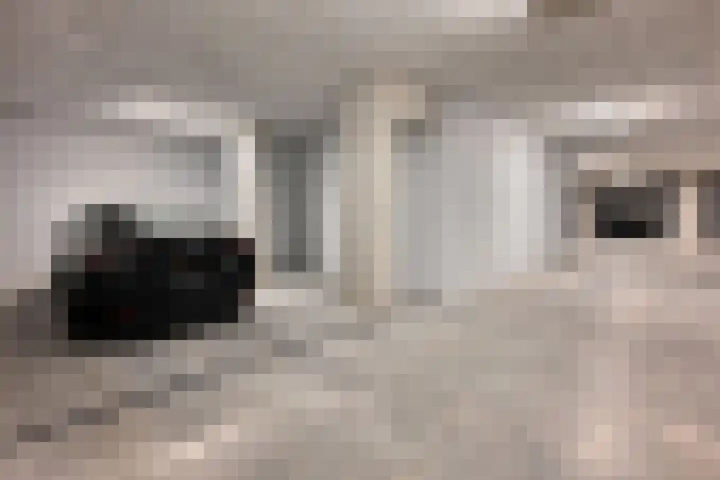 Grasweg 221 Amsterdam thumbnail 19