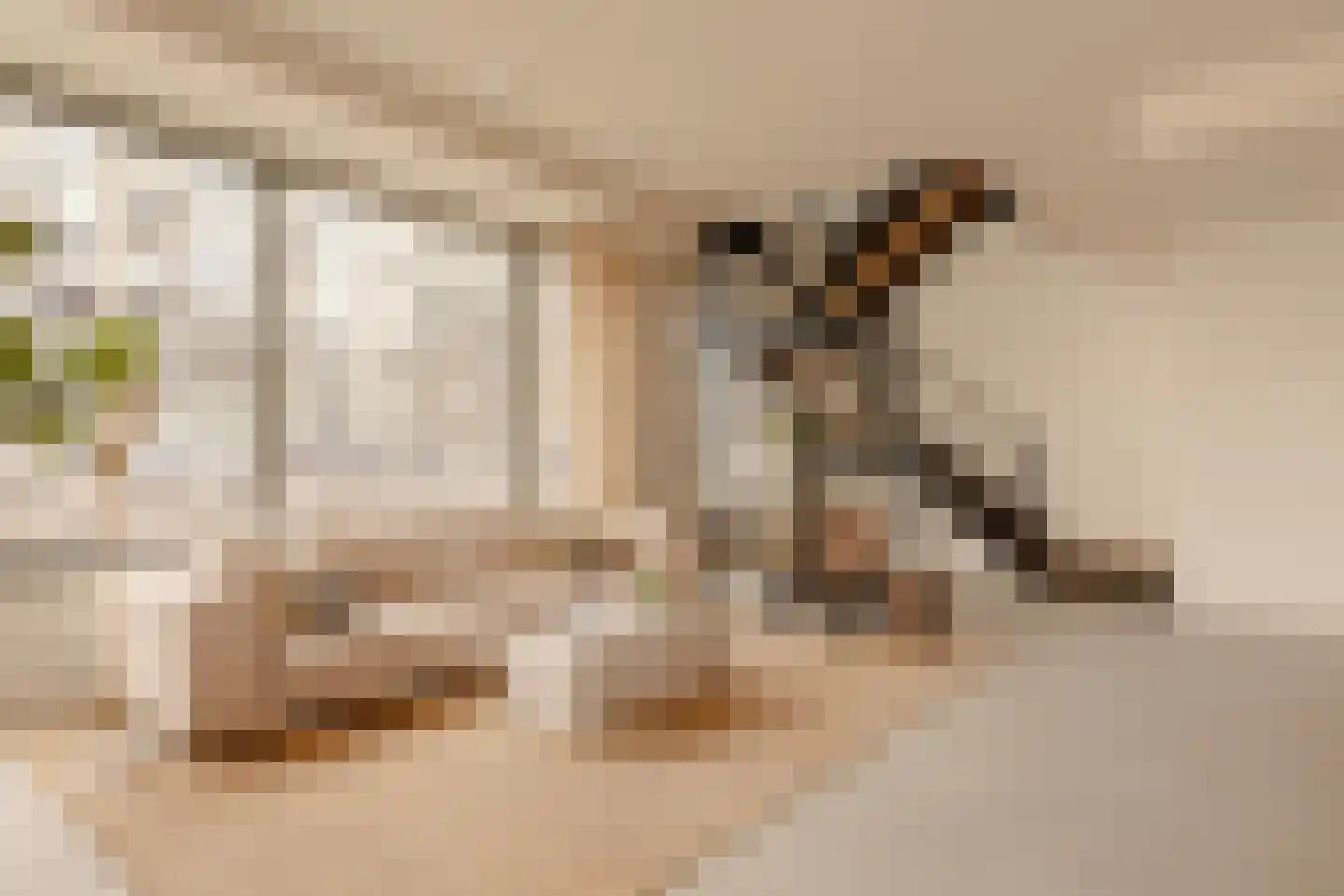 Grasweg 221 Amsterdam thumbnail 8