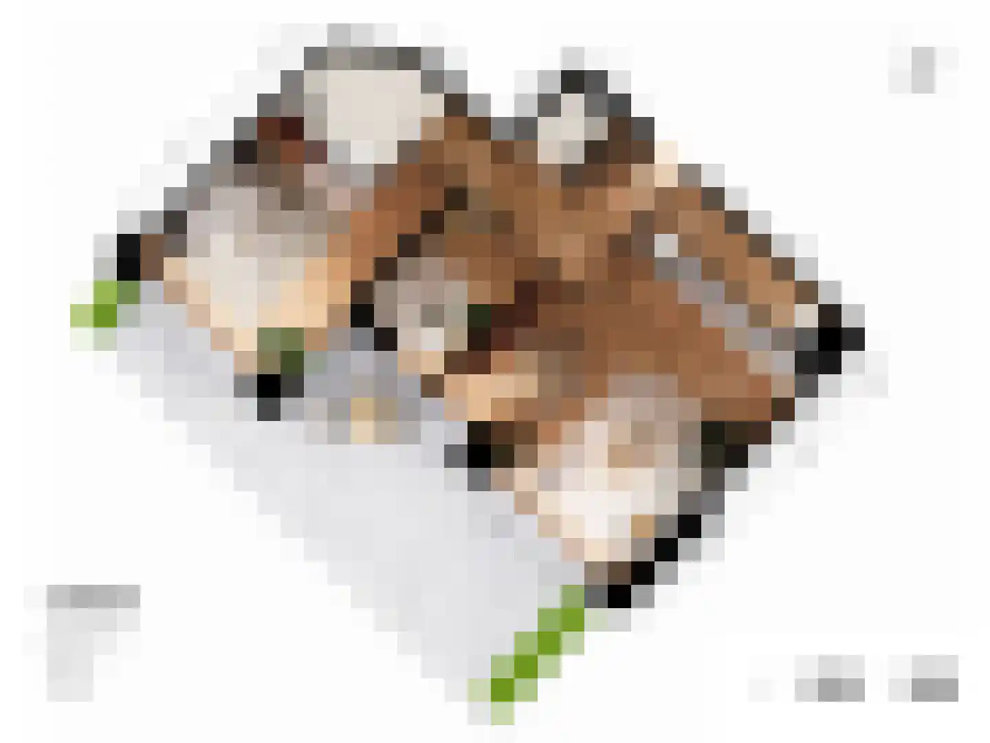 Grasweg 370 Amsterdam thumbnail 19
