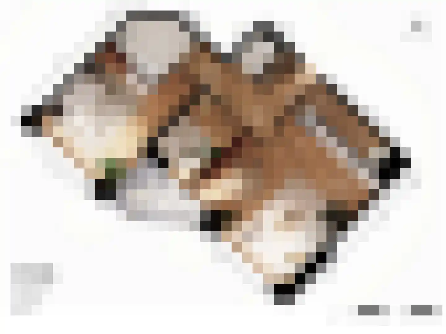 Grasweg 386 Amsterdam thumbnail 44
