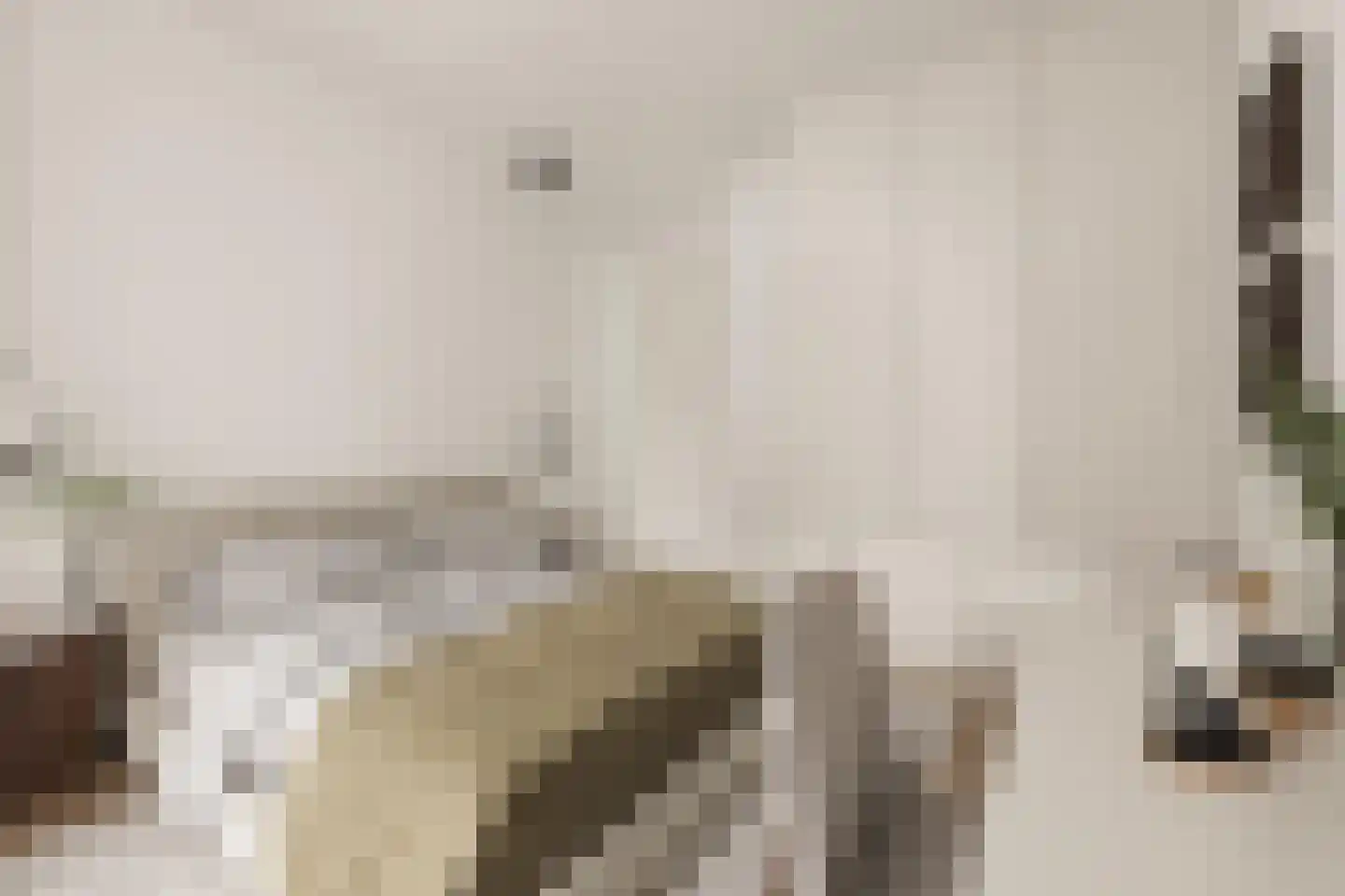 Grasweg 402 Amsterdam thumbnail 16
