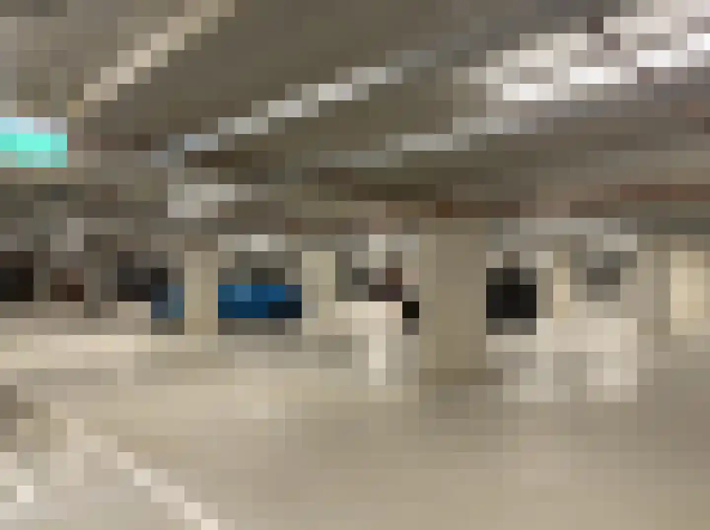 Grasweg 406 Amsterdam thumbnail 42