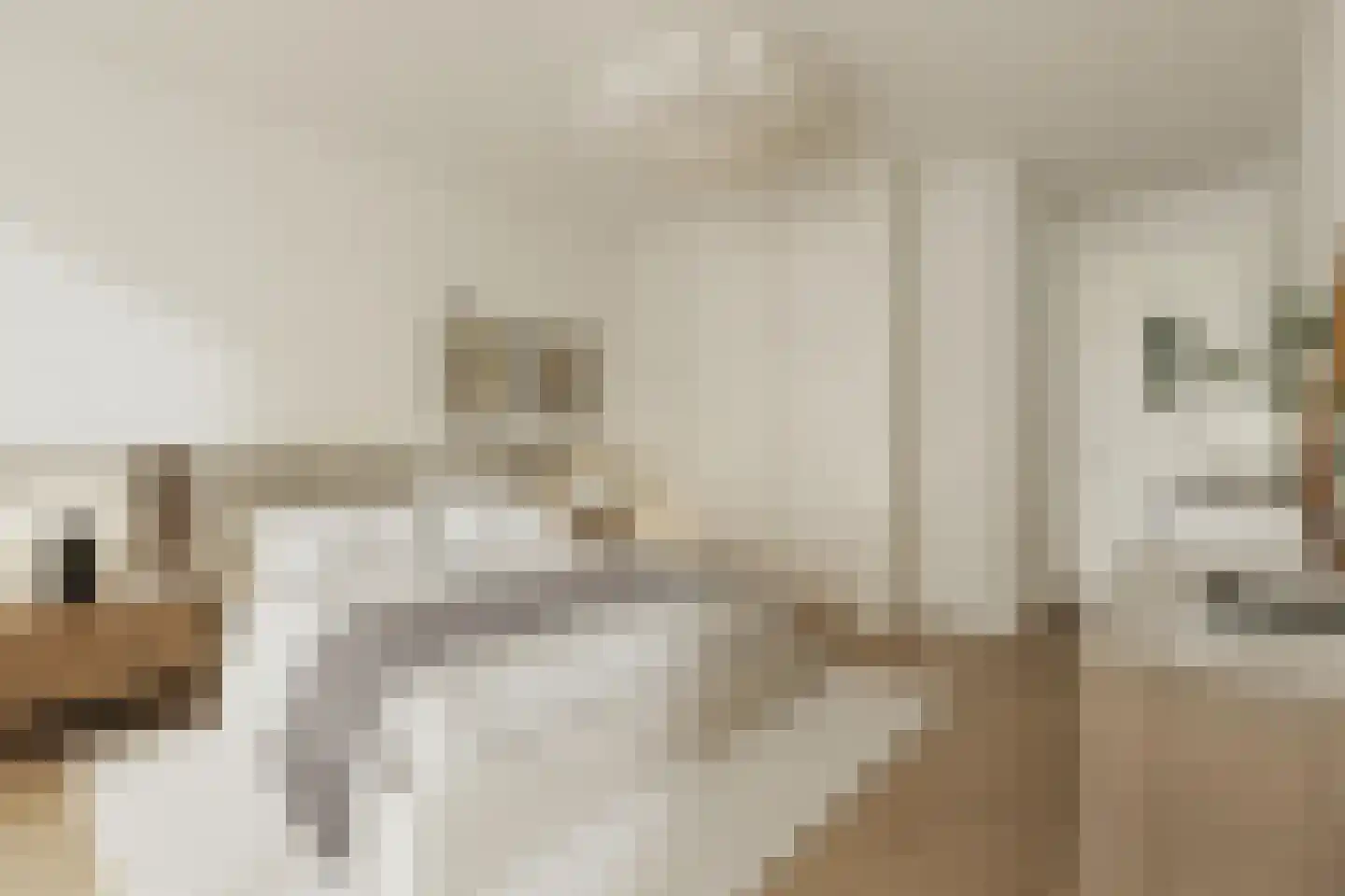 Grasweg 422 Amsterdam thumbnail 10