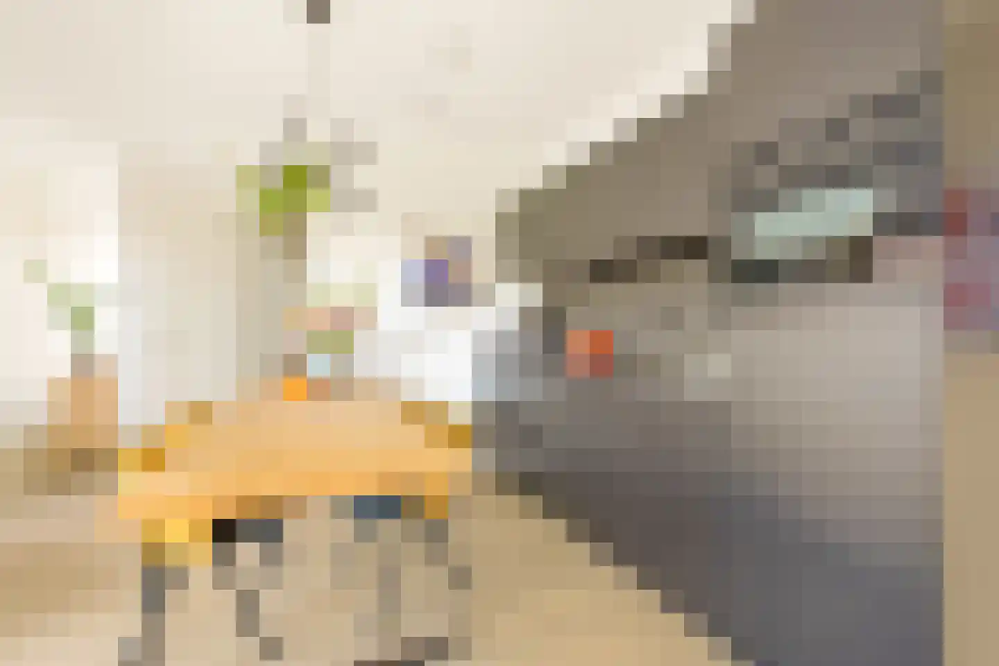 Grasweg 426 Amsterdam thumbnail 12