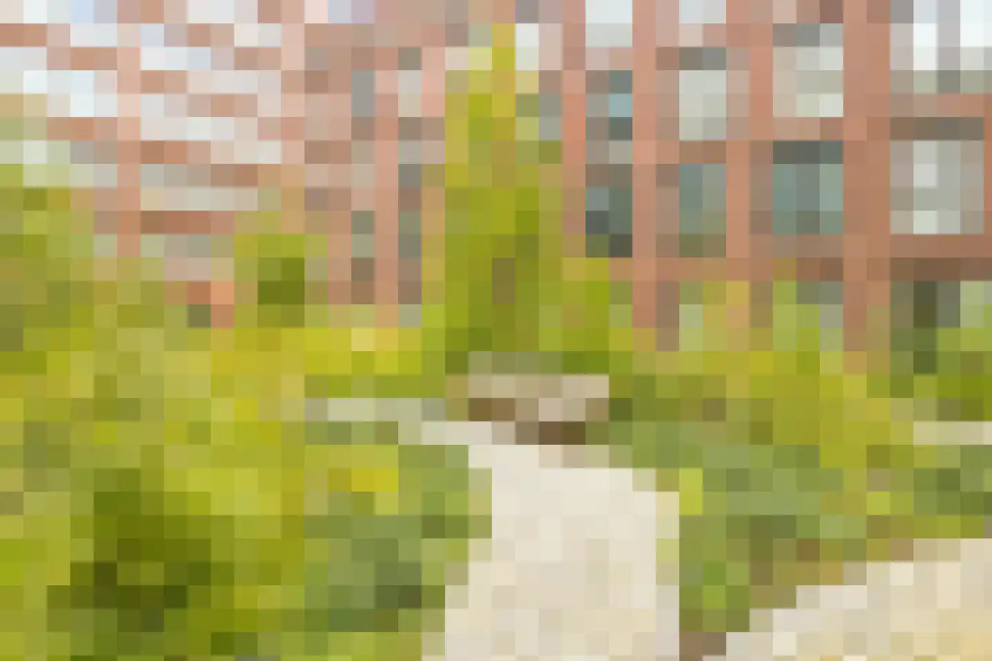 Grasweg 426 Amsterdam thumbnail 7