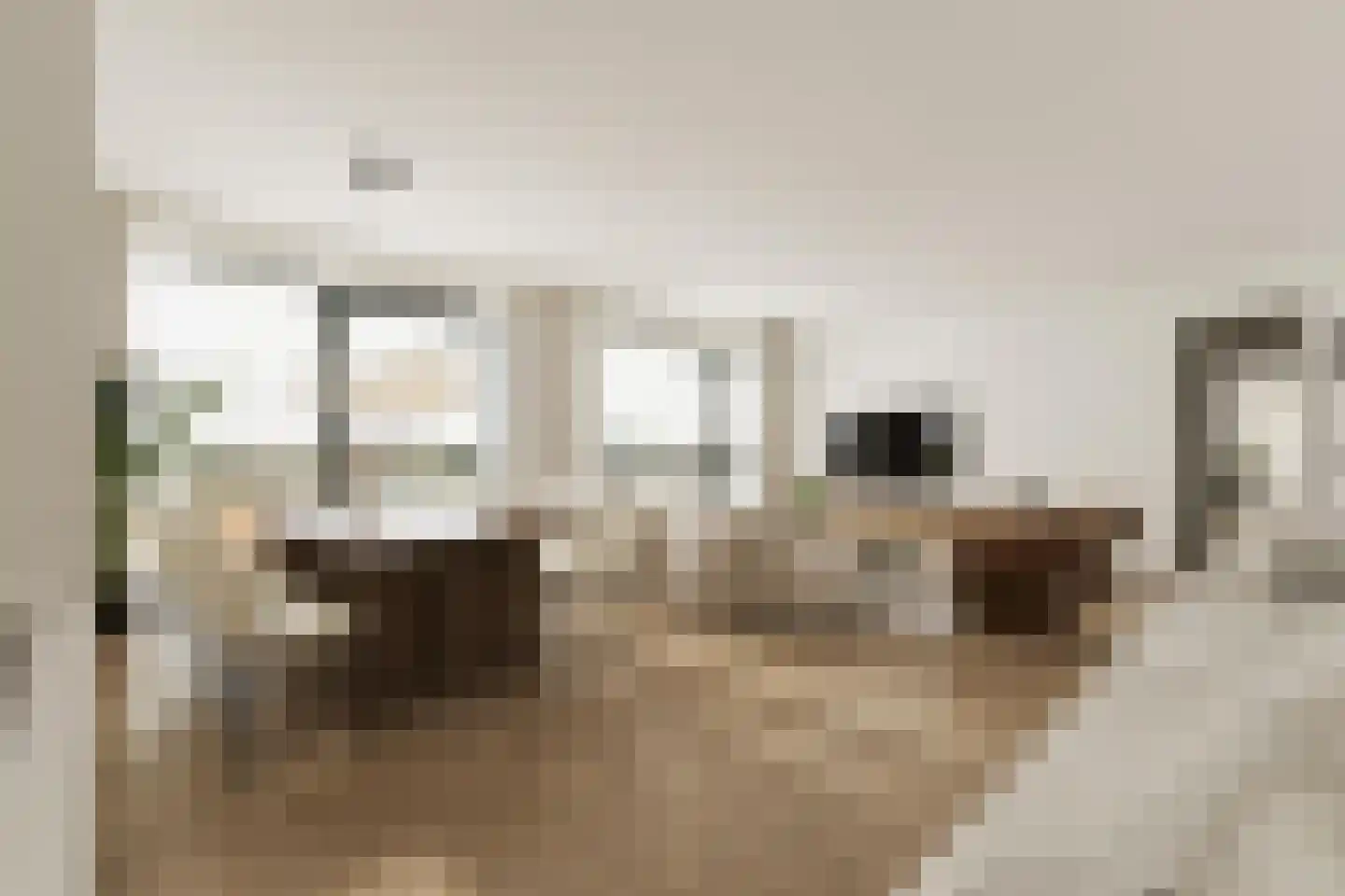 Grasweg 484 Amsterdam thumbnail 4