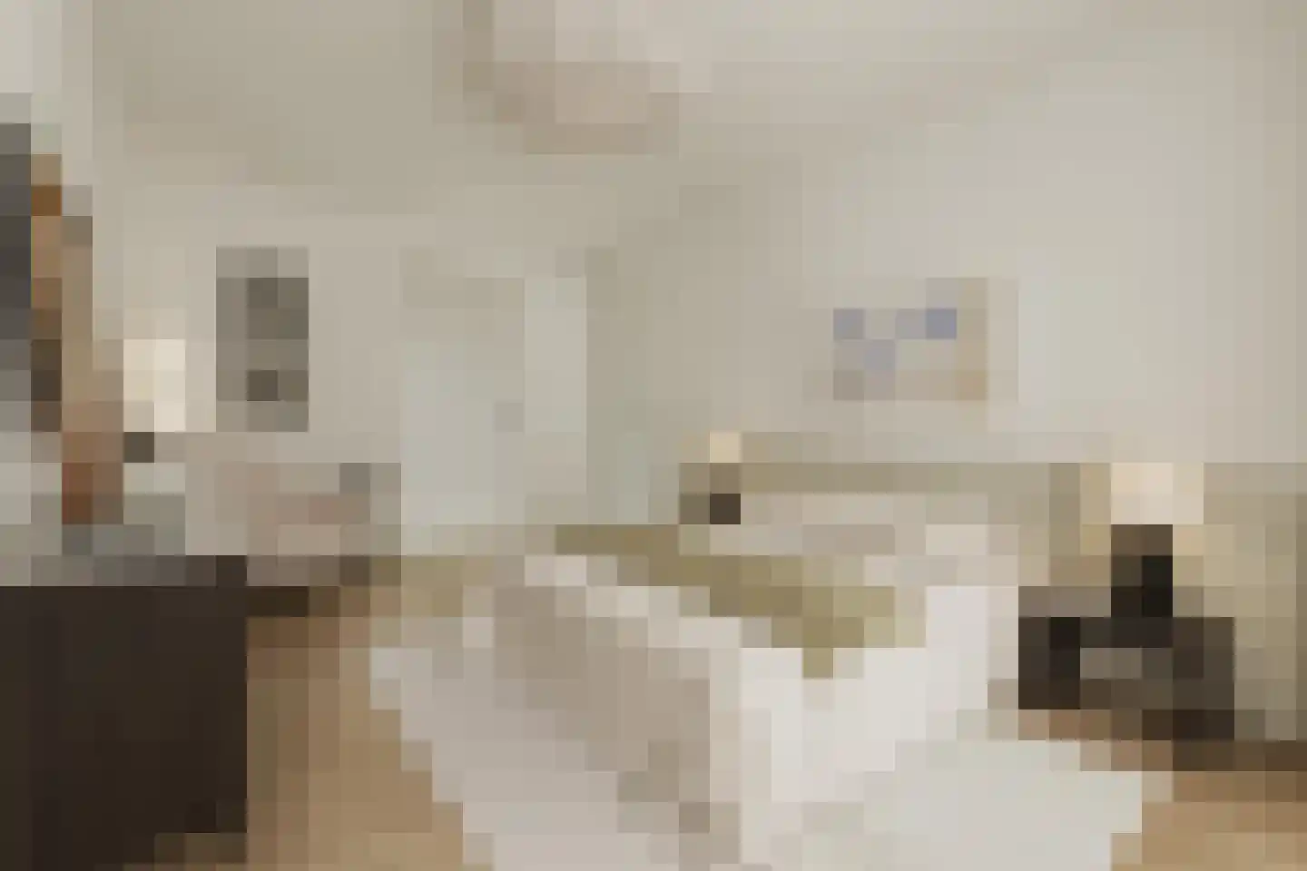 Grasweg 484 Amsterdam thumbnail 9